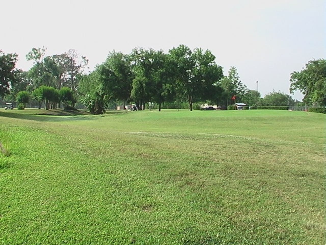 Alvin Golf & Country Club