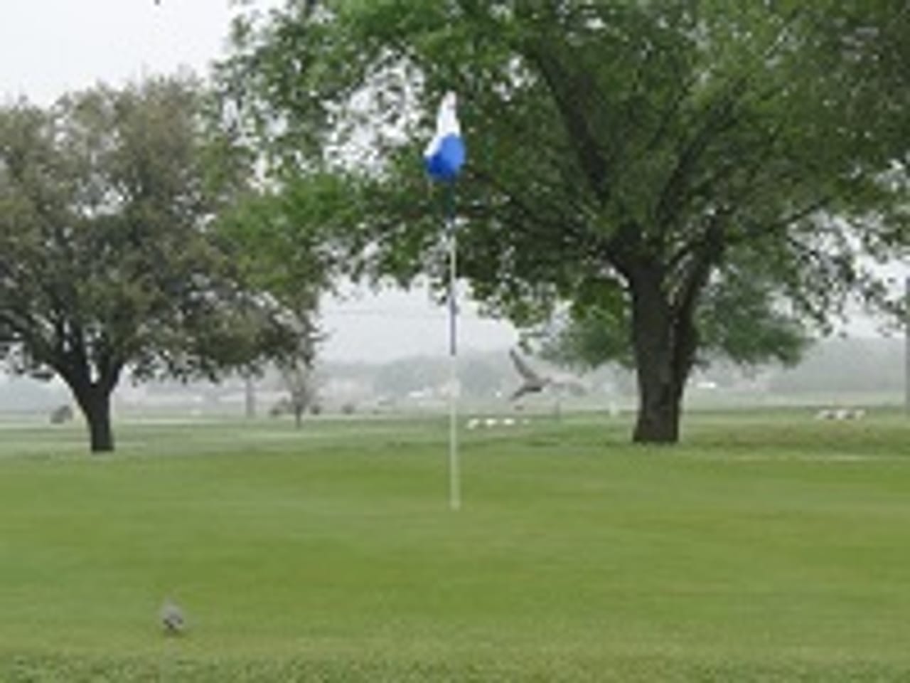Hondo Golf Course
