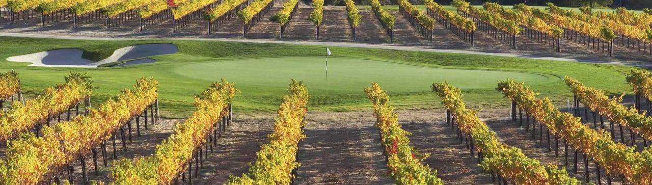 The Course at Wente Vineyards