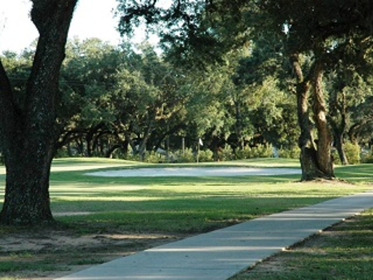 Houston Oaks (Family Nine)