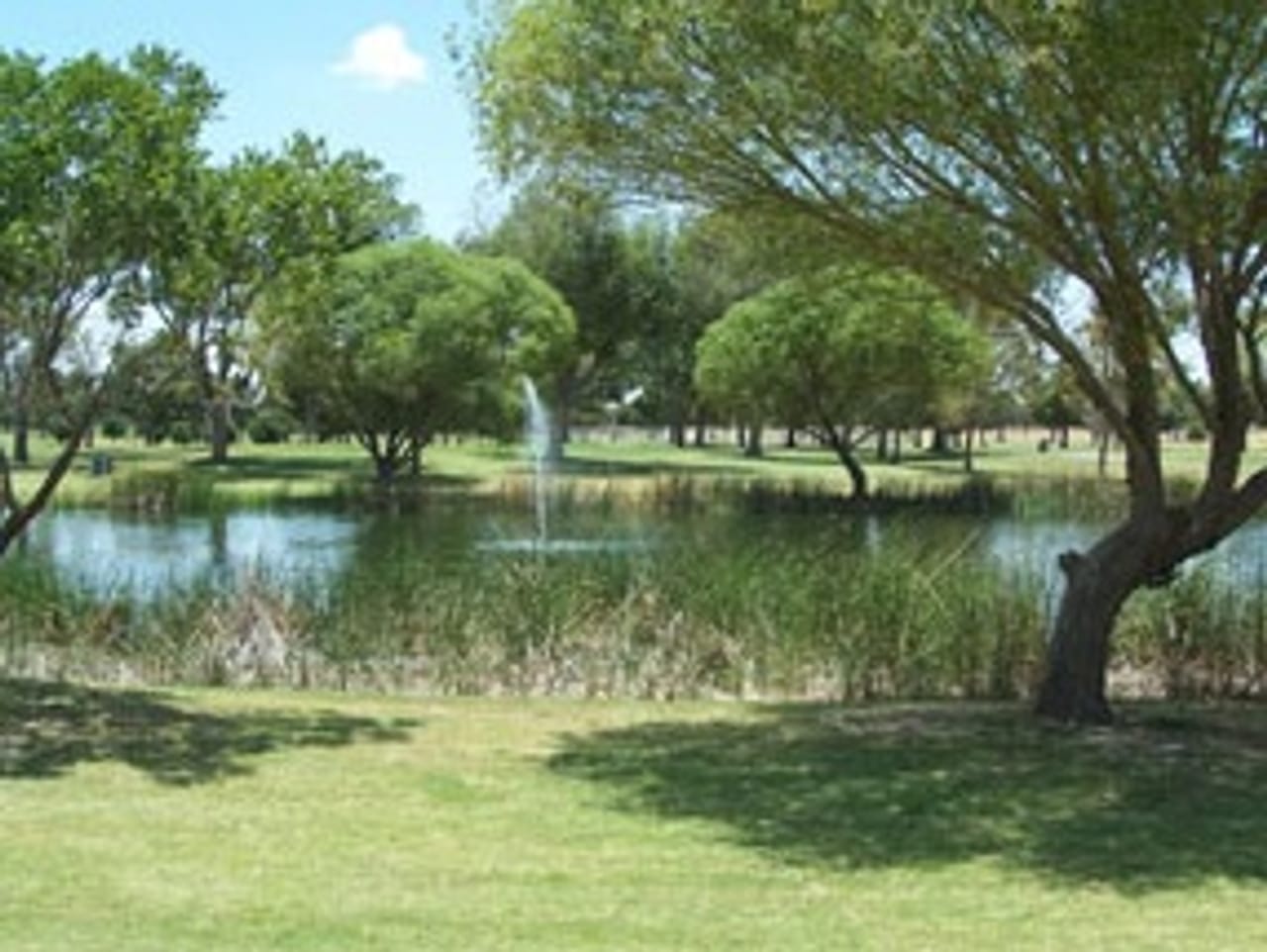 Odessa Country Club (Links)