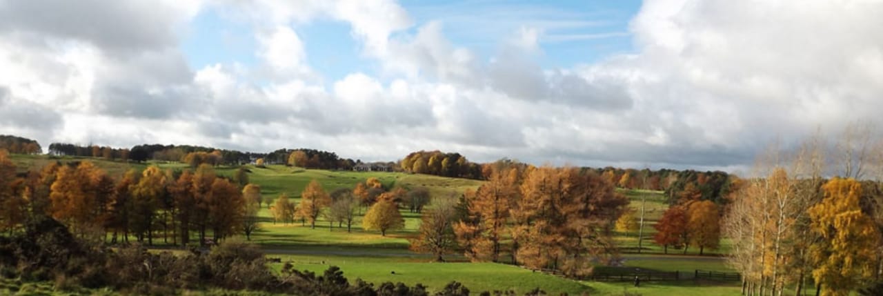Royal Curragh Golf Club