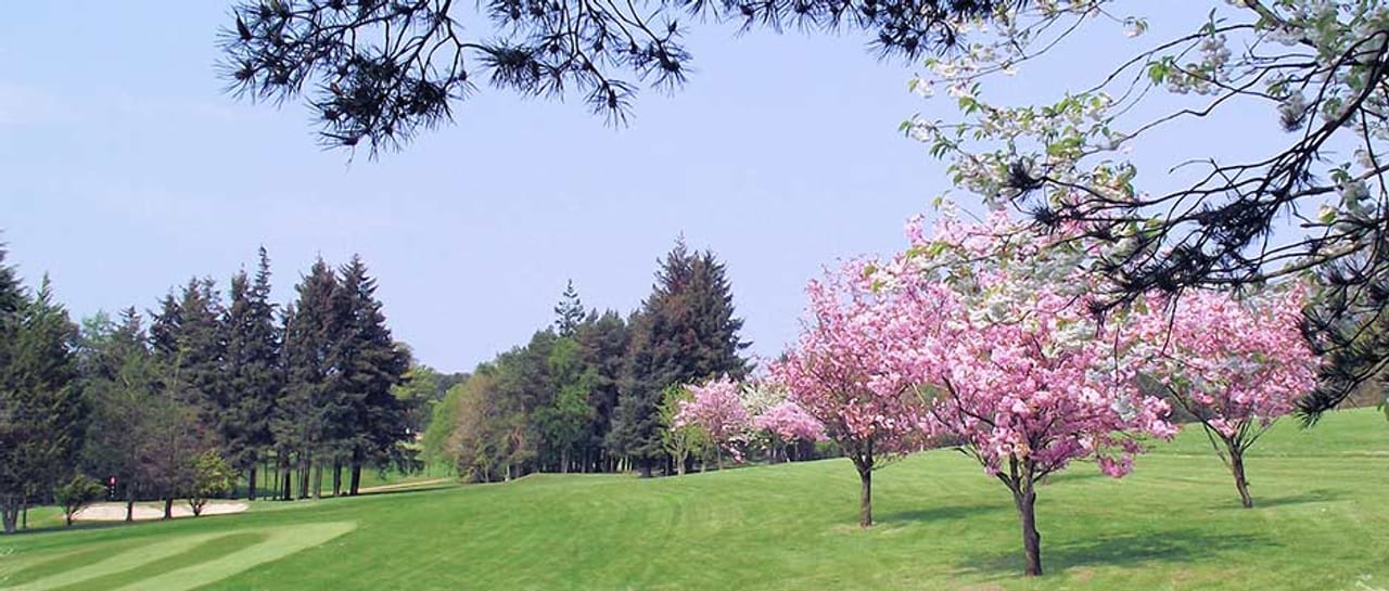 Ballochmyle Golf Club