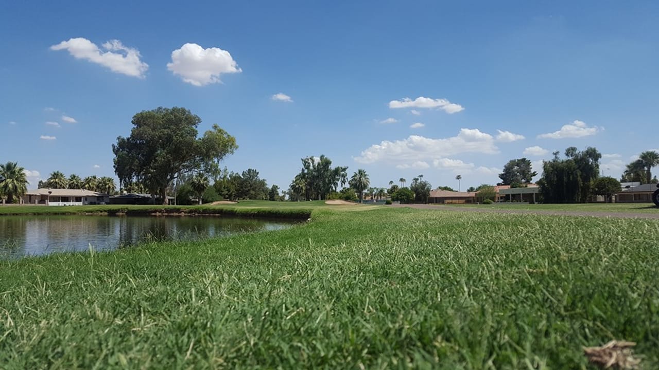 Arizona Golf Resort - Mesa