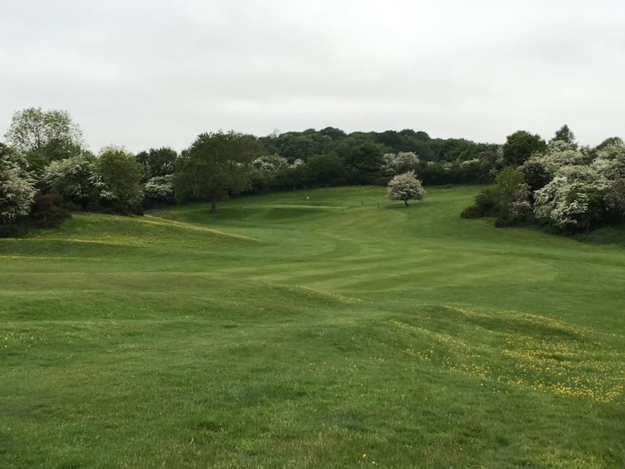 Beverley & East Riding Golf Club