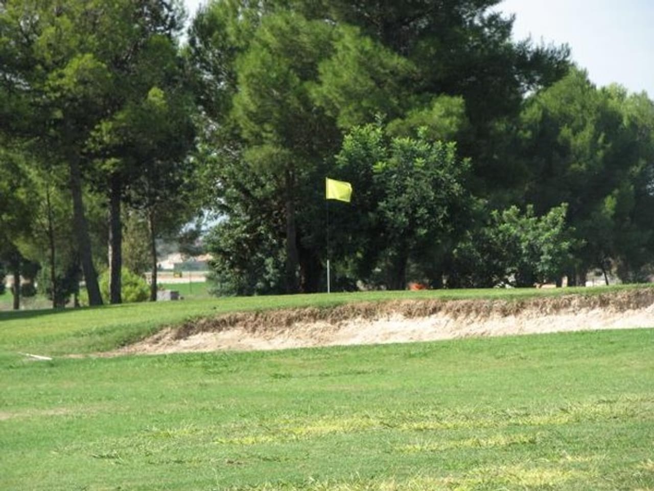 Real Club de Golf Manises