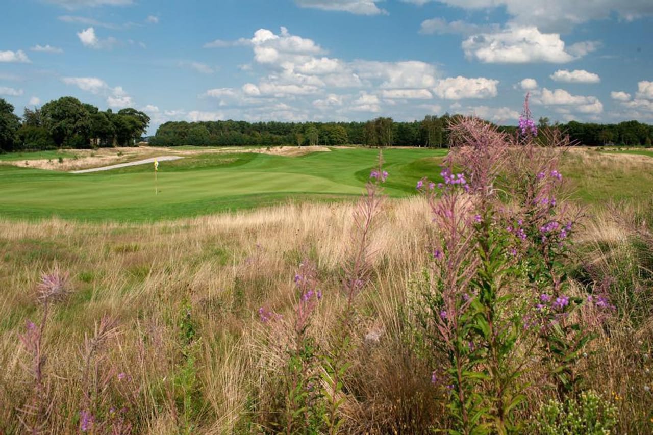 Golfbaan Landgoed Bergvliet (Par 3)