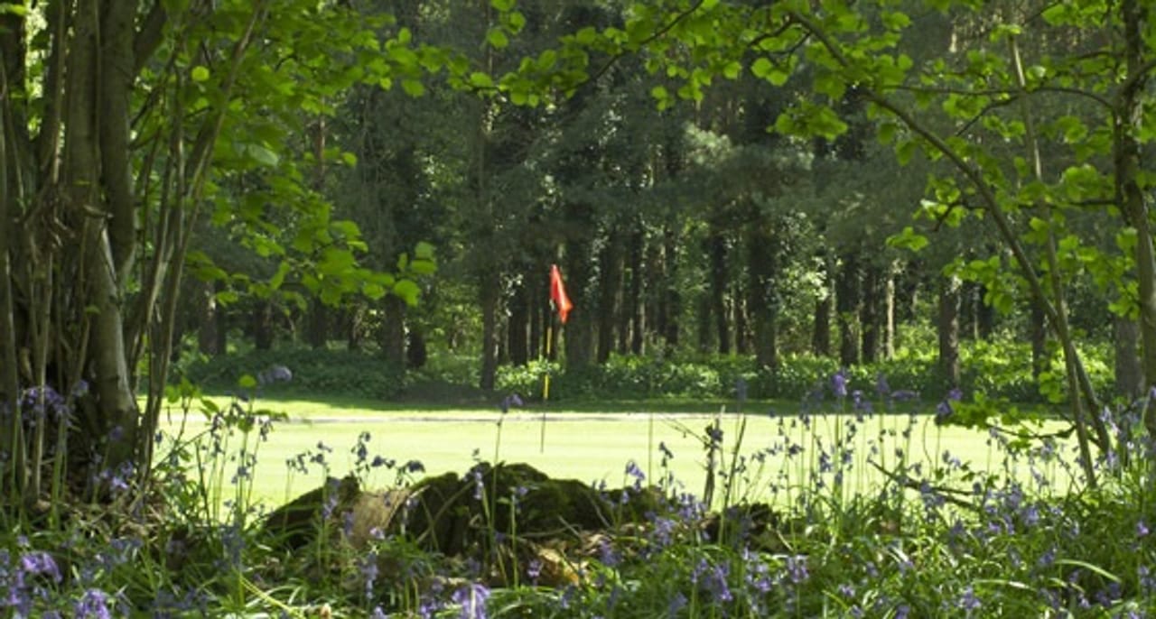 Bramshaw Golf Club (Forest)