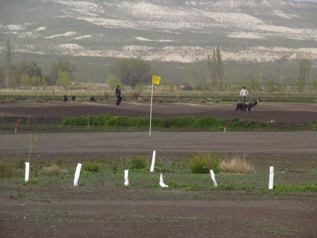 Las Bardas Campo de Golf