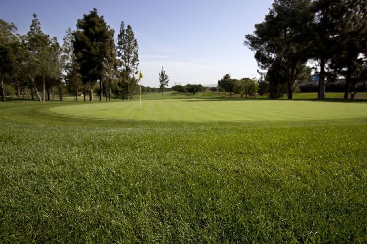 Real Club Pineda de Sevilla