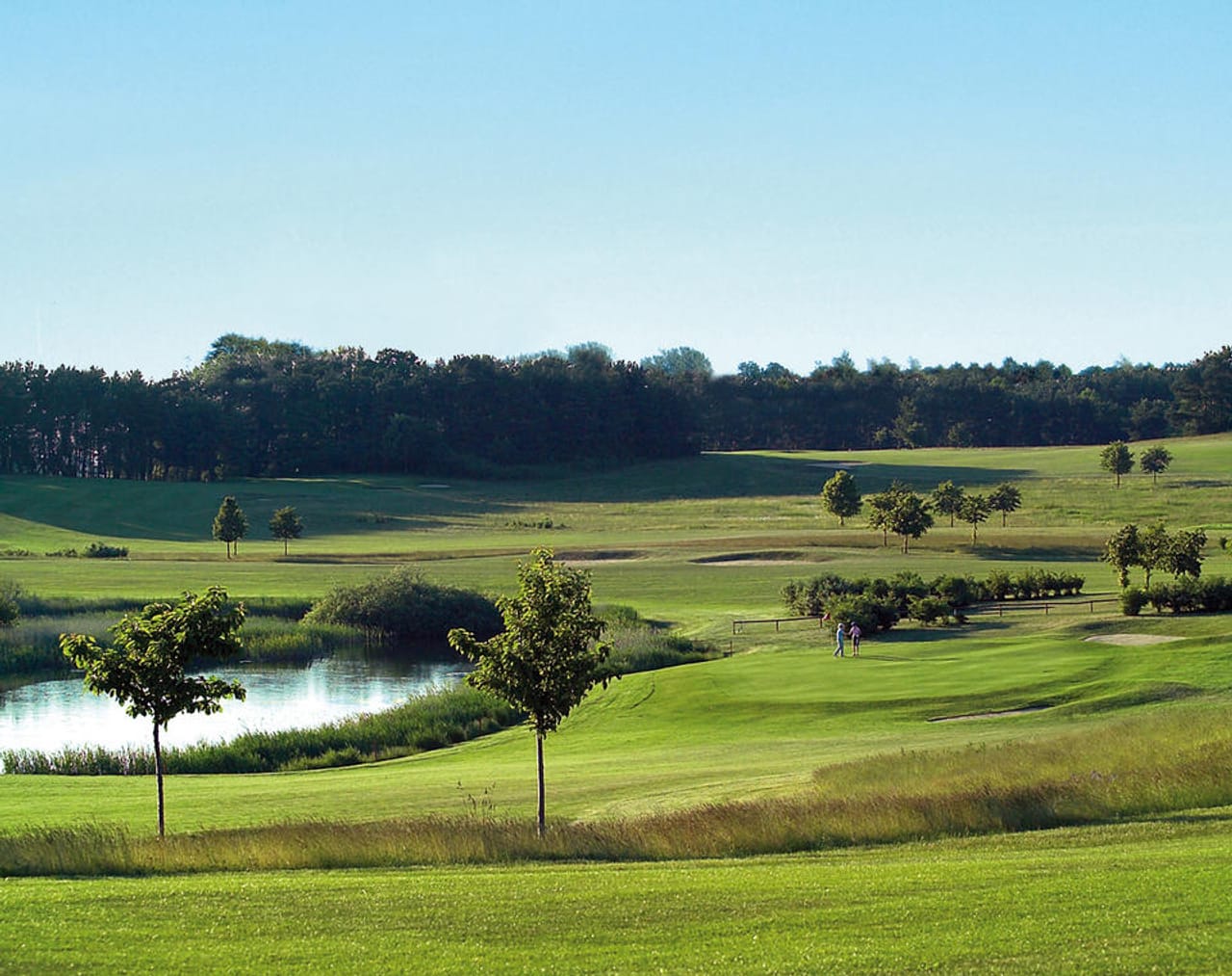Golfclub Balmer See - Insel Usedom (Gelb)