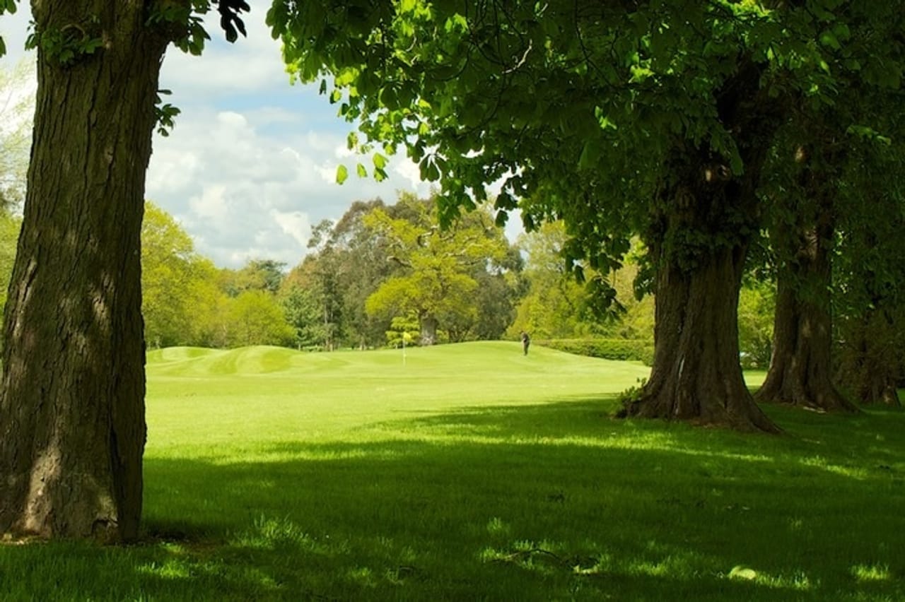 Canford Magna Golf Club (Knighton)
