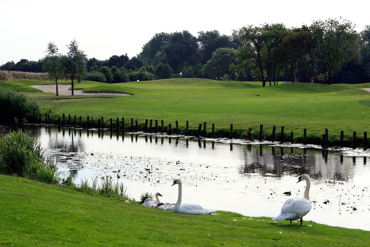 Golfcentrum Roosendaal - Golfbaan de Stok