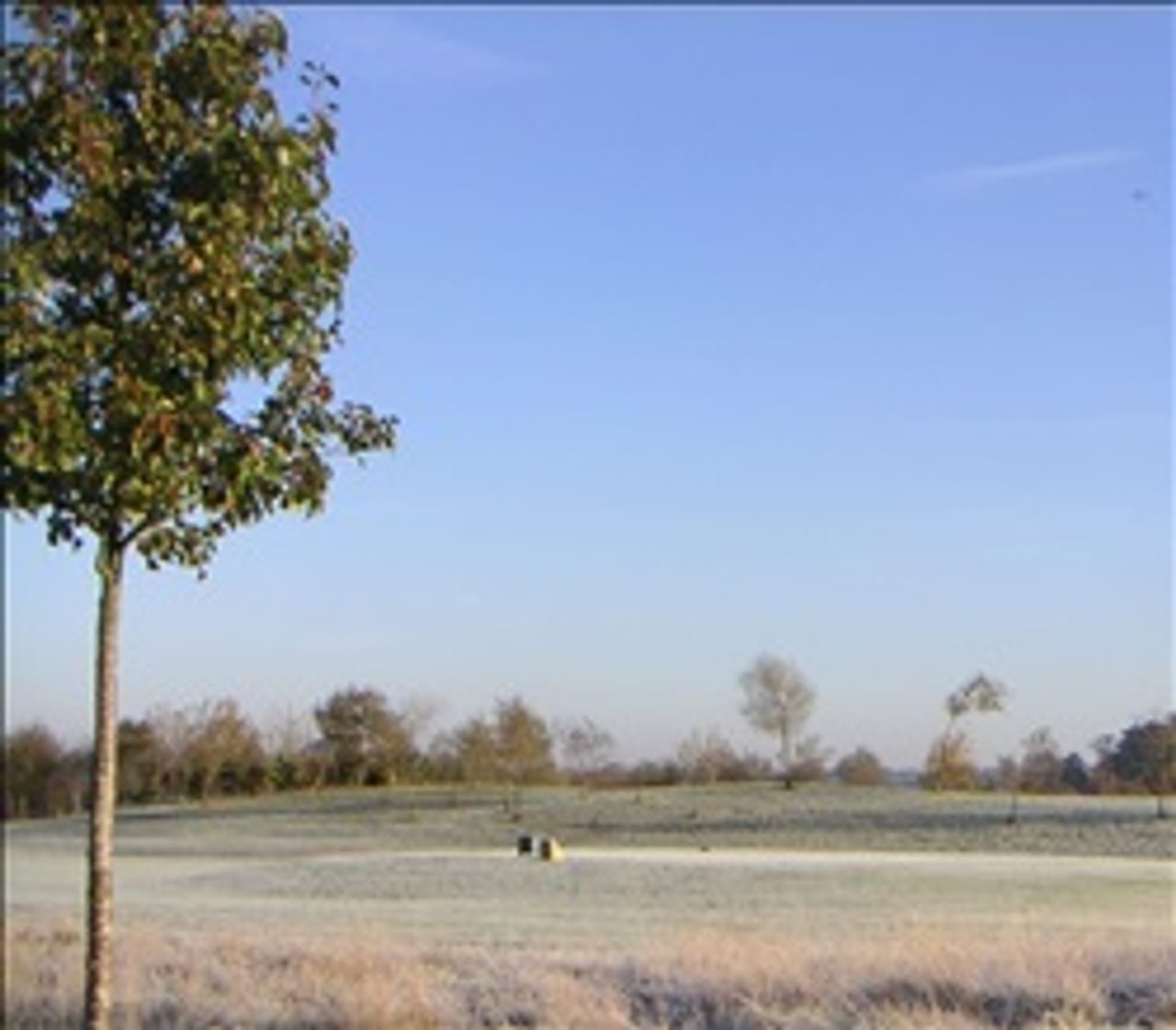 Clandon Regis Golf Club