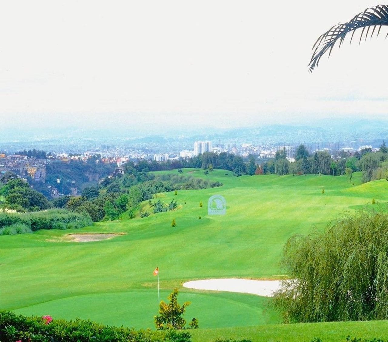 Club de Golf Bosques