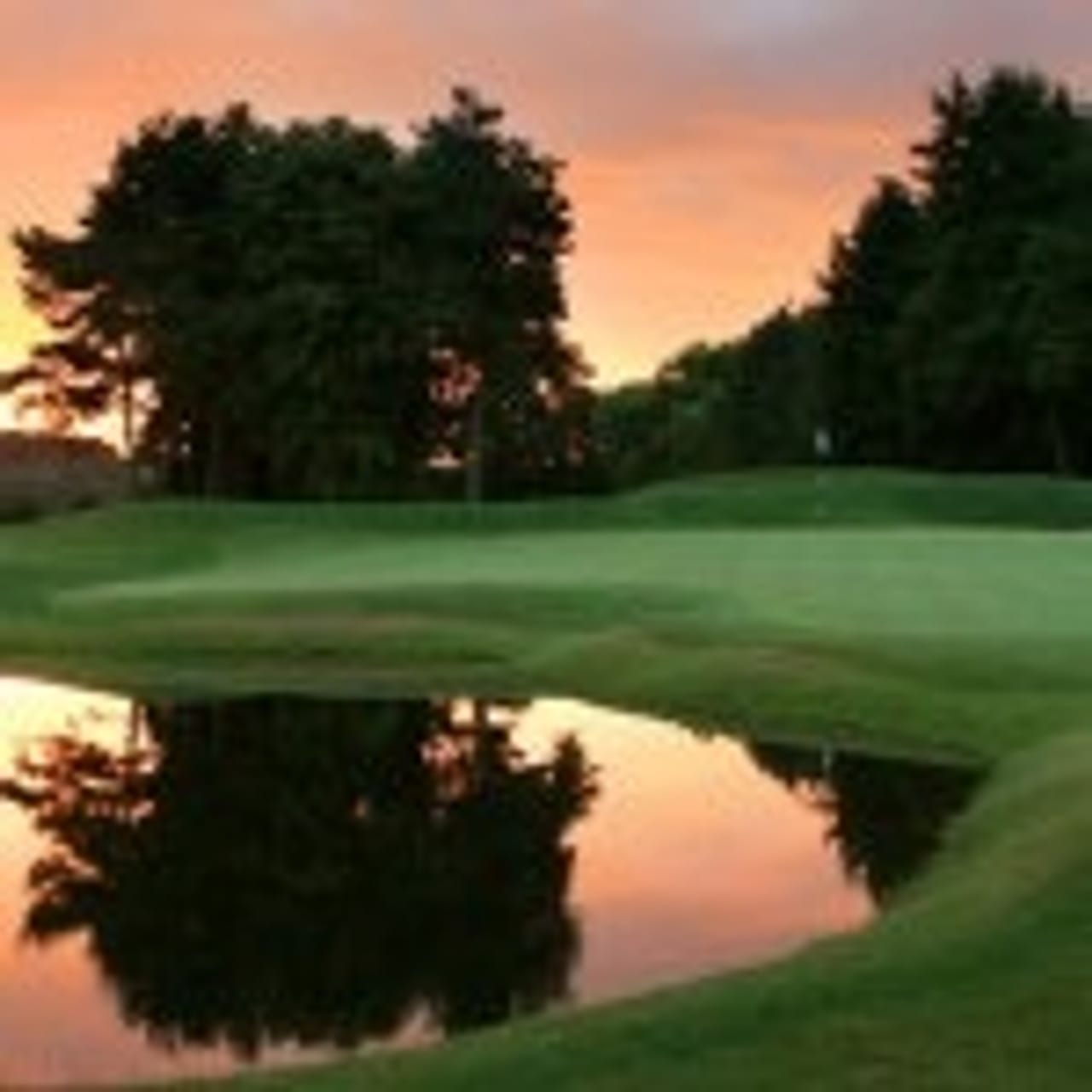 Close House (Lee Westwood Filly)