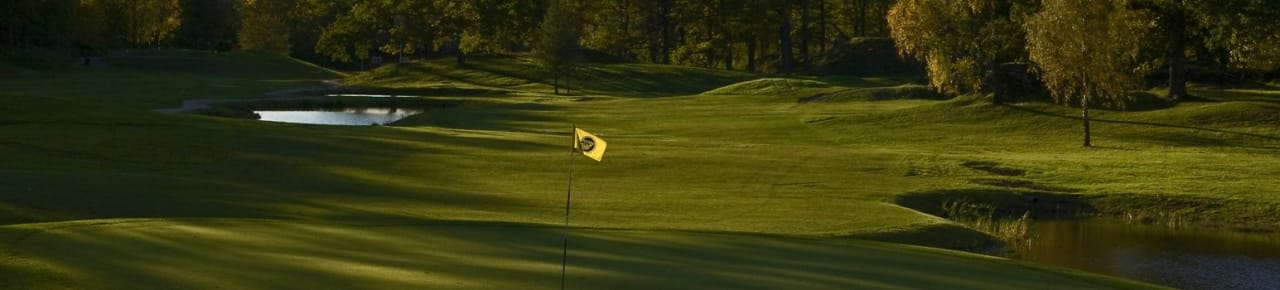 Agesta Golfklubb (18h)