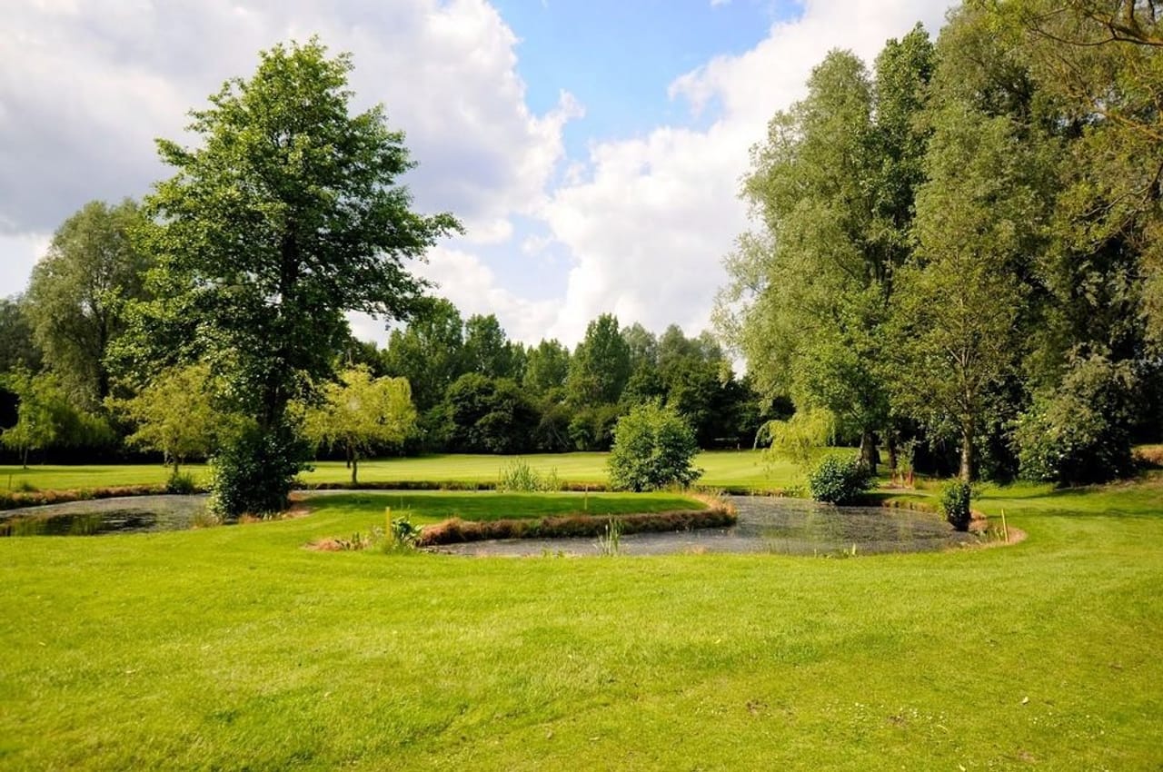 Kingfisher at Cretingham Country Park