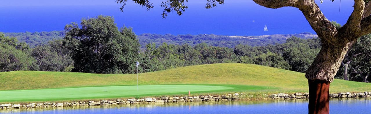 The San Roque Club (New)