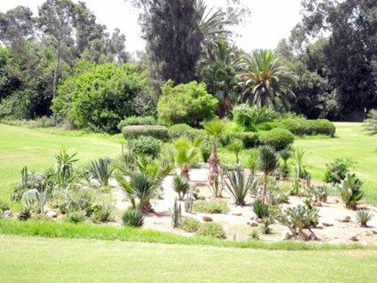 Royal Golf Club Agadir