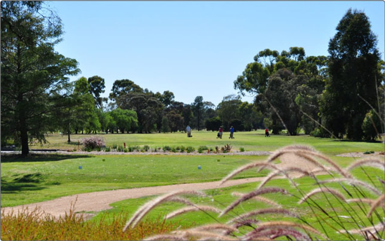 Numurkah Golf