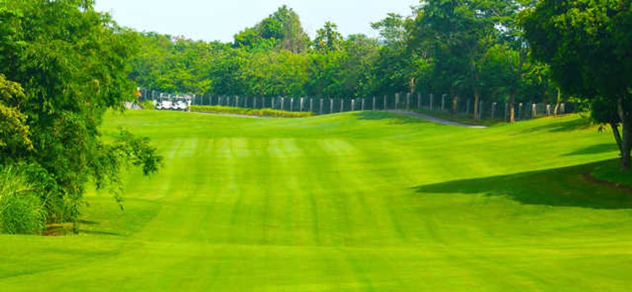 Forest Hills Golf & Country Club (Palmer)