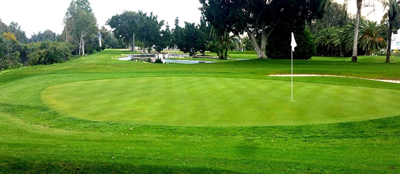 Banús llama Executive Golf