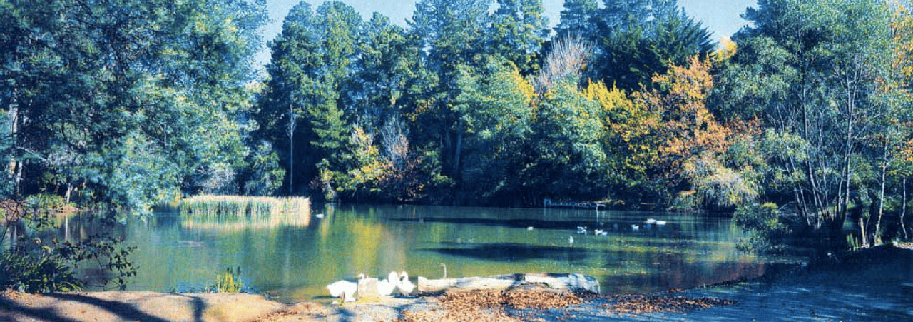 Emerald Golf & Country Resort