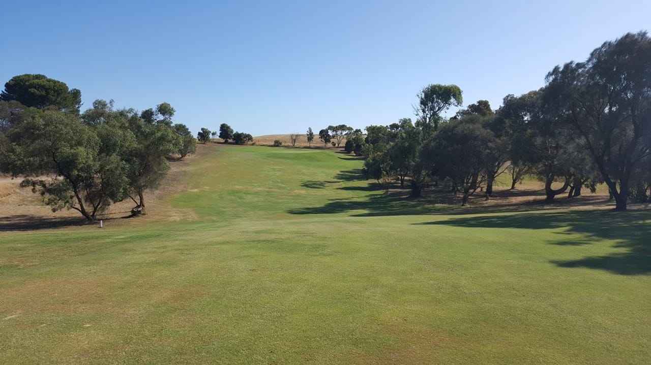 Lake Albert Golf Club