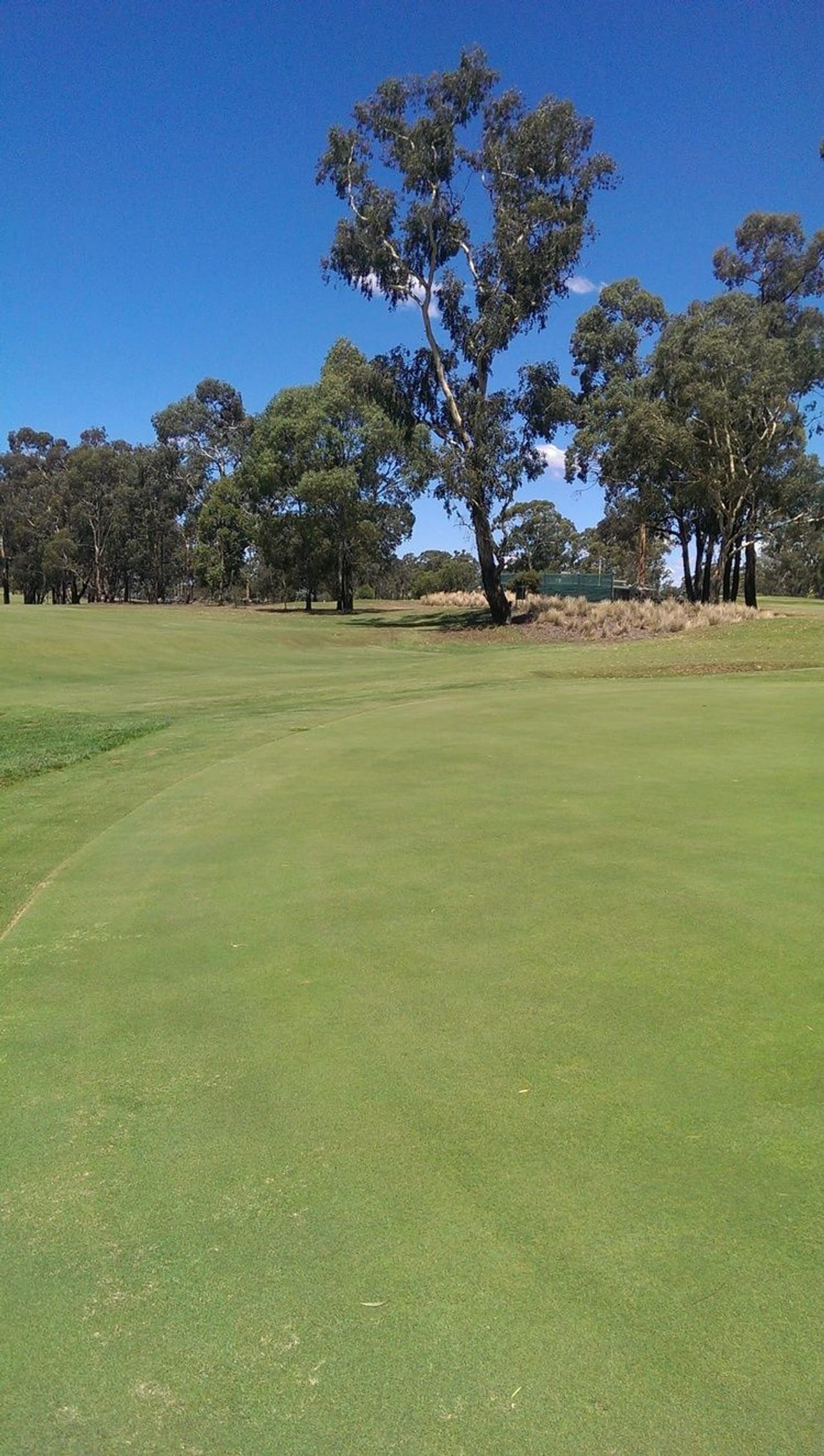 Neangar Park Golf Club