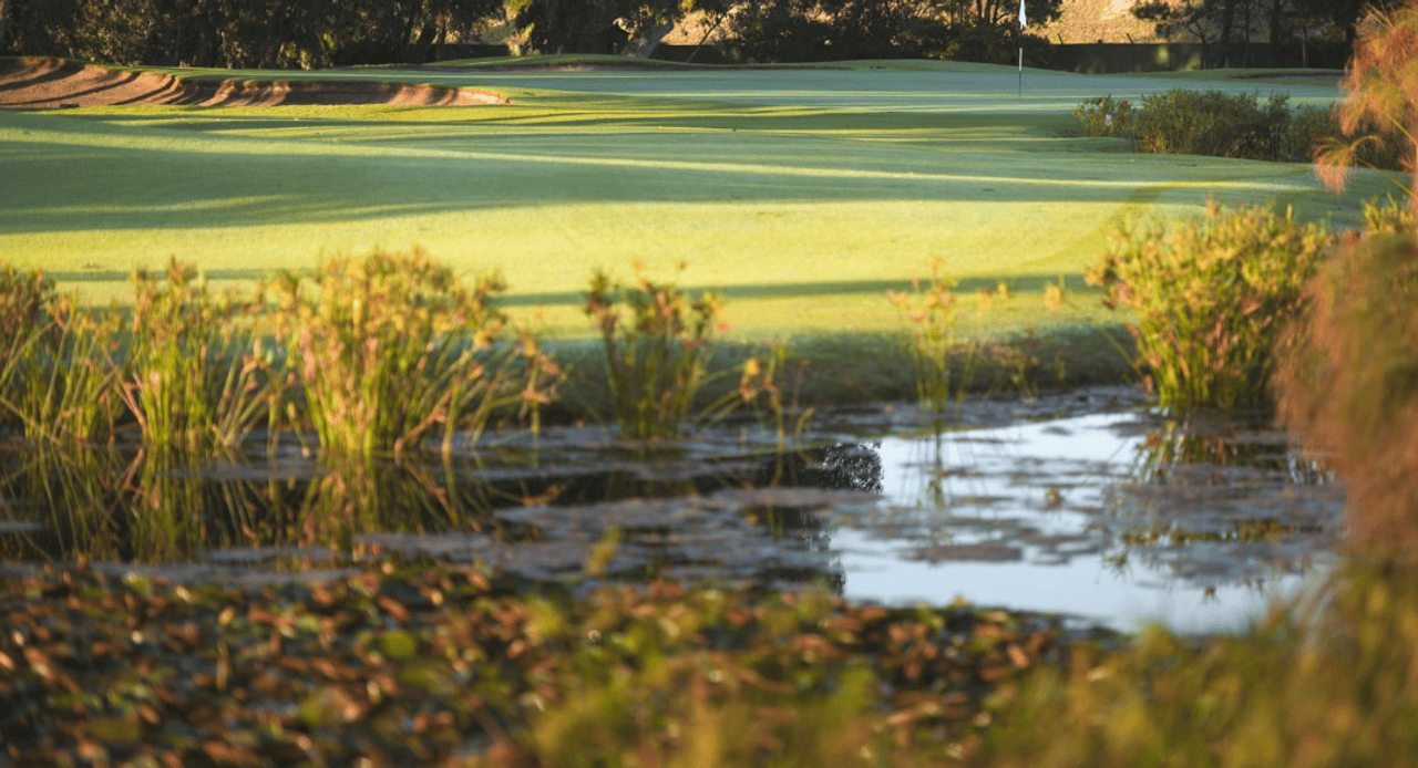 Royal Cape Golf Club