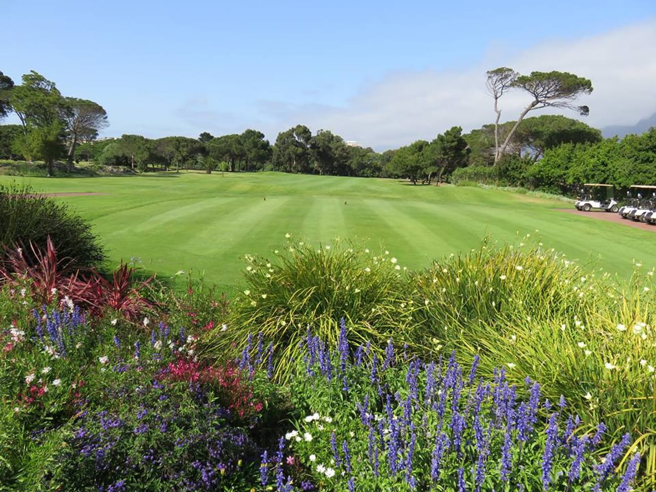 King David Mowbray Golf Club