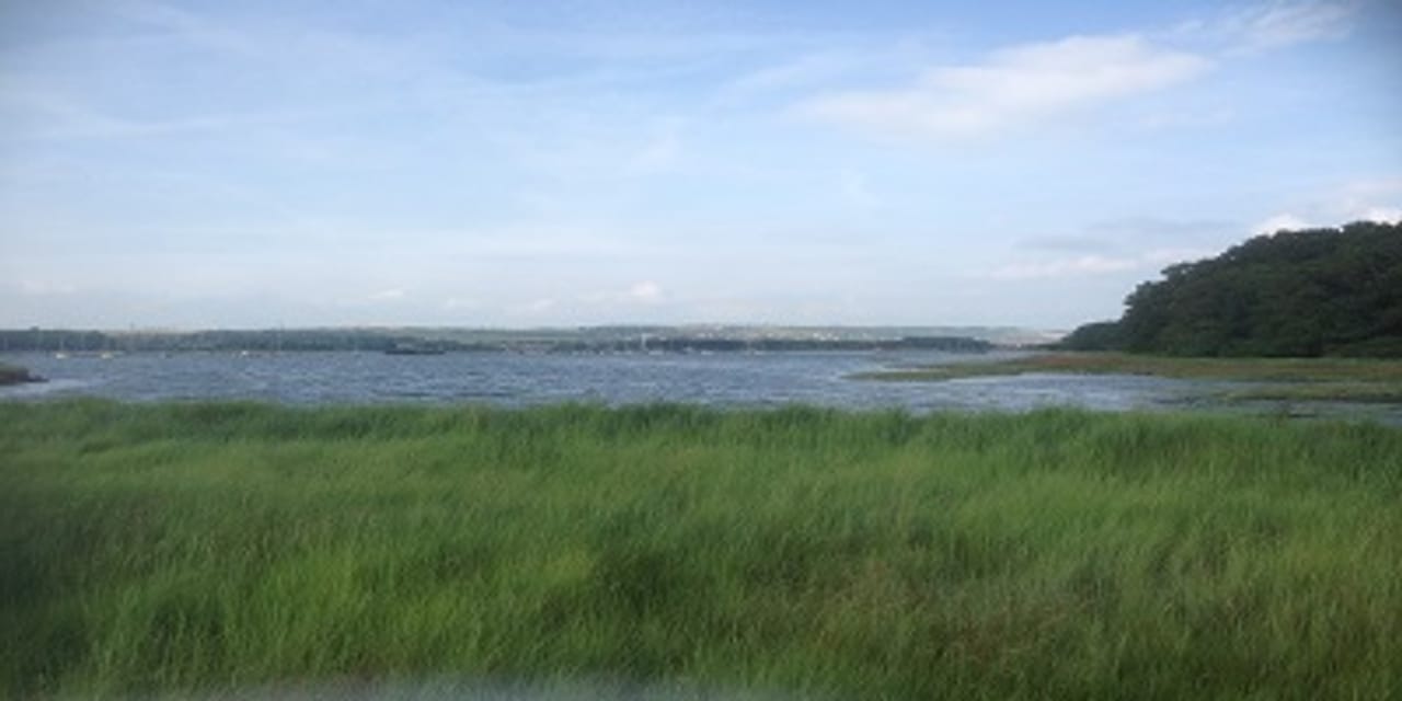 Fleetlands Golf Club