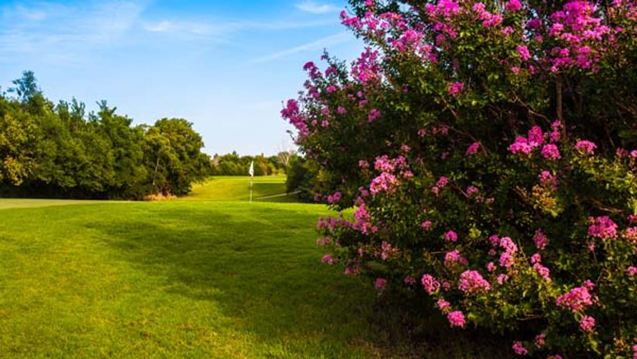 Earlywine Golf Course (North)