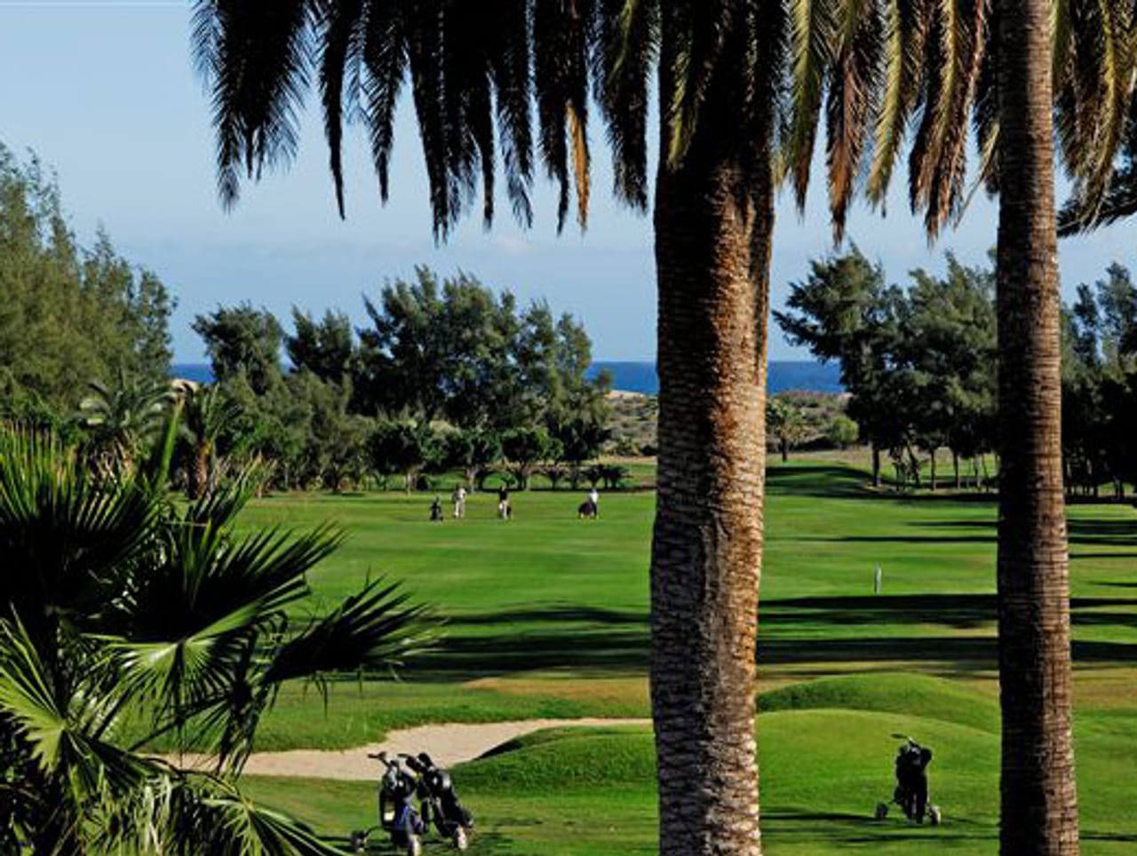 Maspalomas Golf