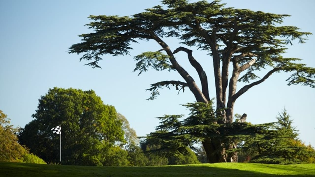 Golf At Goodwood (Park)