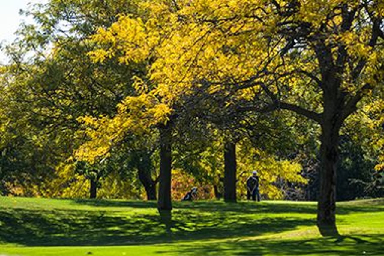 Theodore Wirth Golf Club (Par 3)