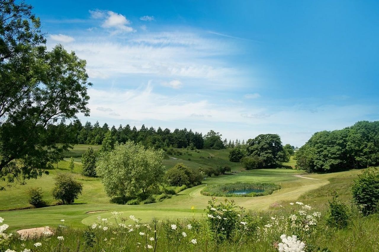 Greetham Valley (Academy)