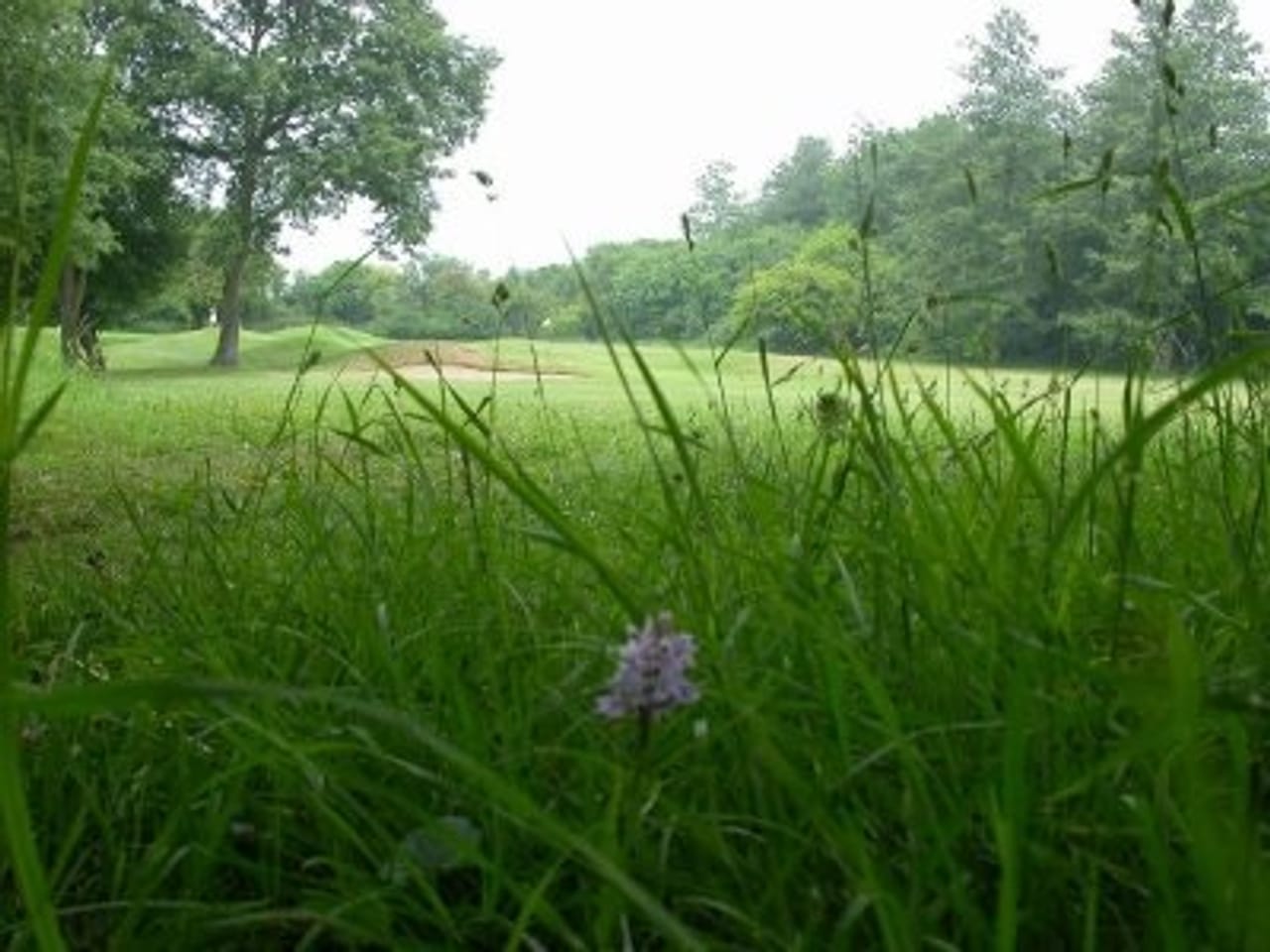 Guildford Golf Club