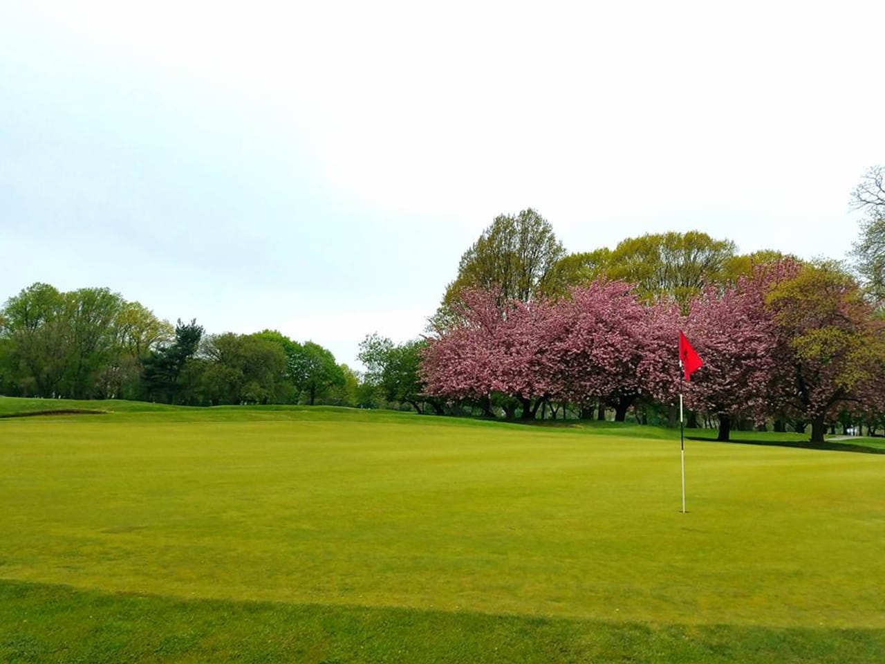 Clearview Park Golf Course