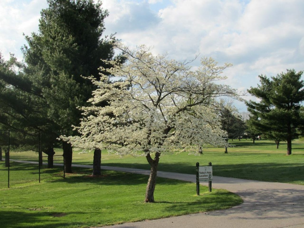 Gay Brewer Jr Course at Picadome