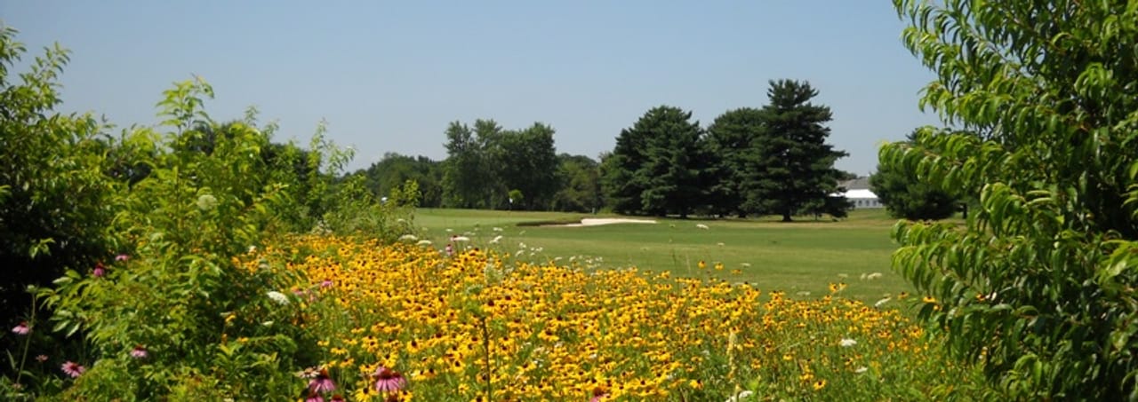 Pitman Golf Course