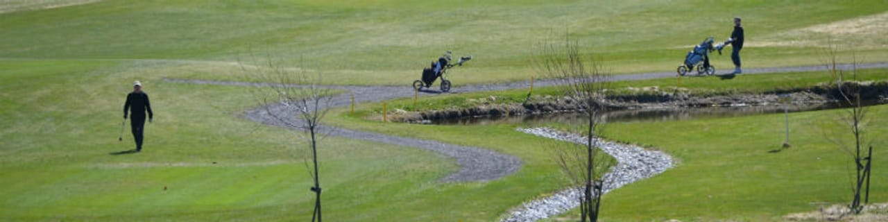 Vejen Golfklub (Akademi)