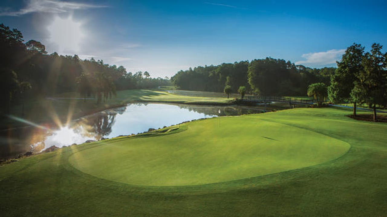 Walt Disney World Resort (Palm)