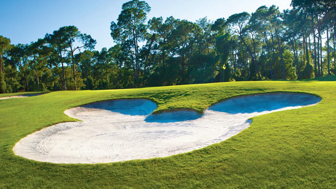 Walt Disney World Resort (Magnolia)