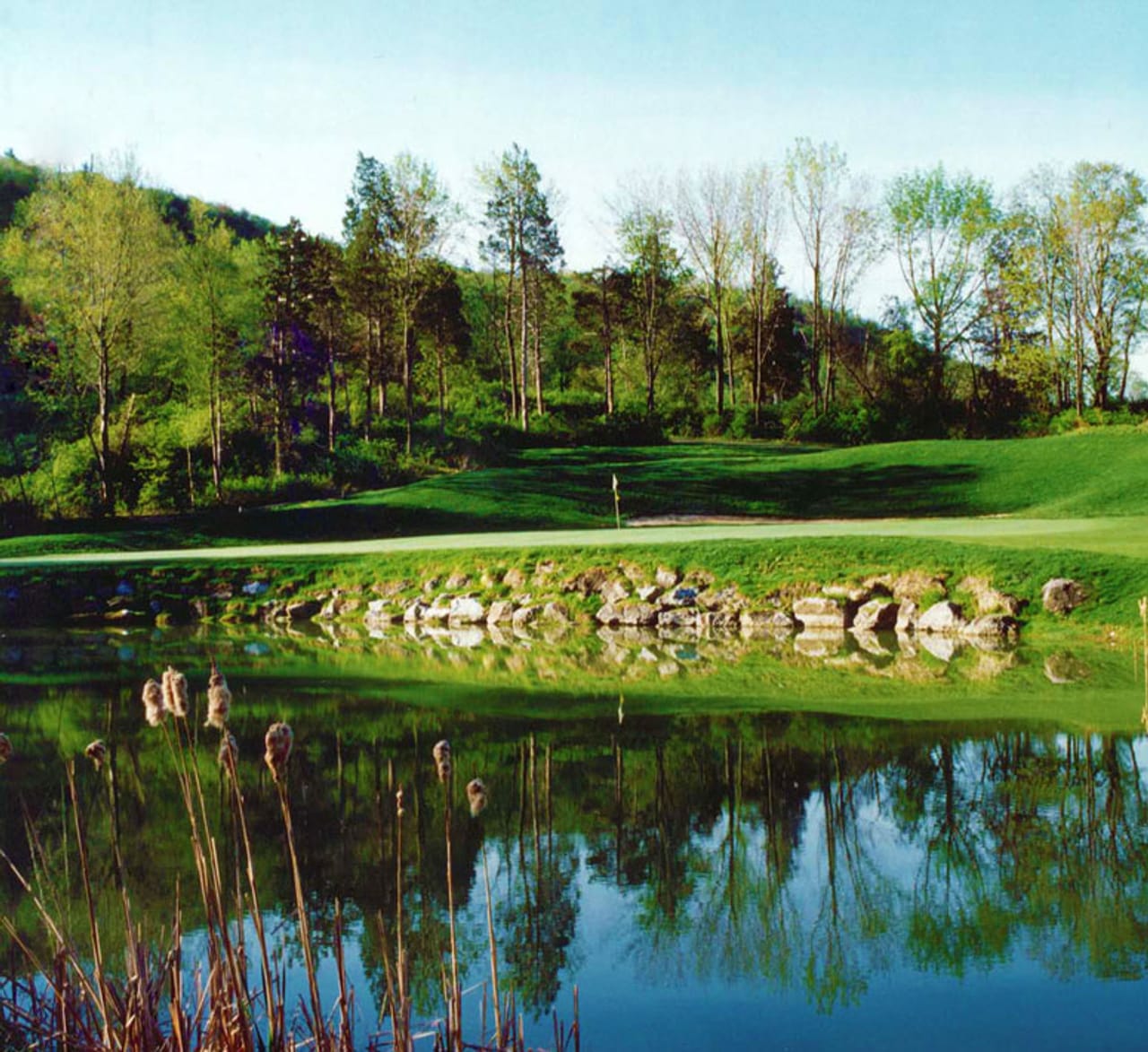 Crystal Springs Resort - Black Bear