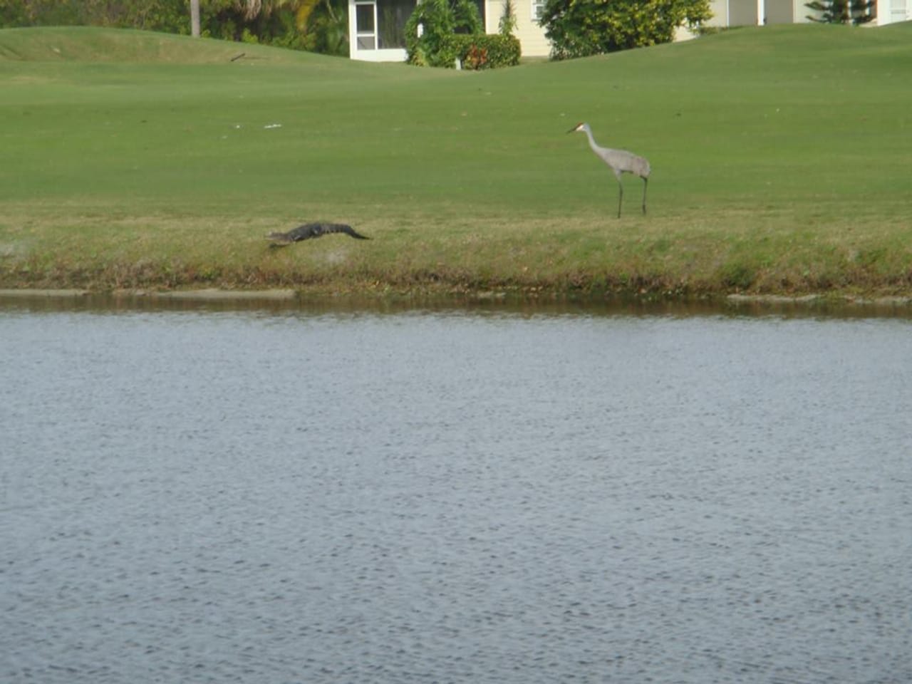 Gator Trace Golf & Country Club