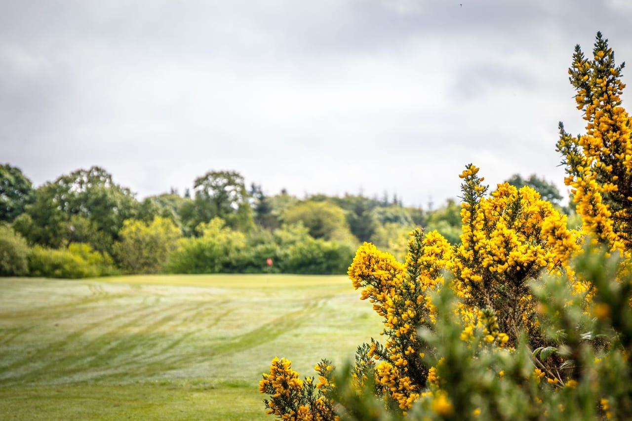 The Blackwood Golf Centre (The Temple)