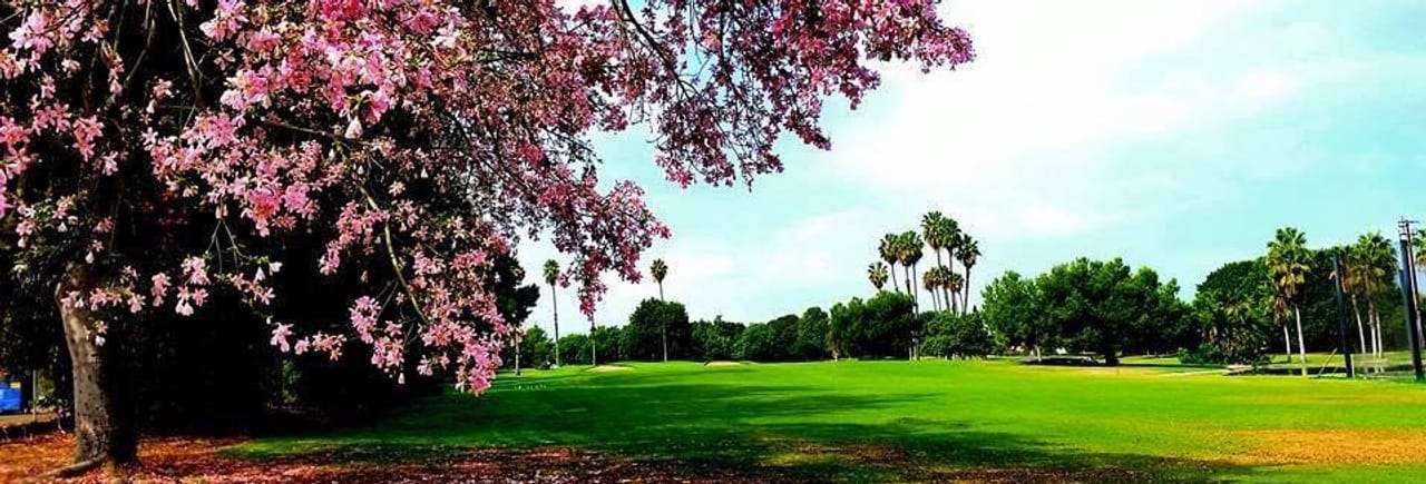 Dad Miller Golf Course