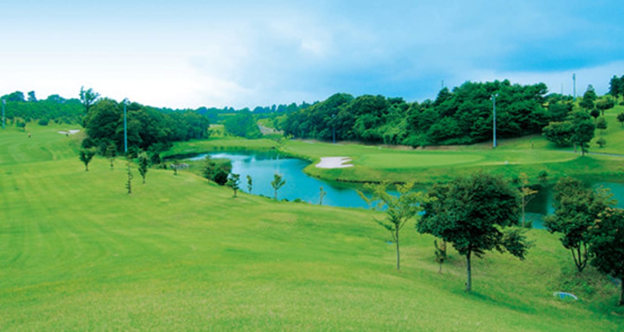 なんのそのFanch Ledan【golf course】 Chi Chi Rodriguez Northwestern 3-Wood (RH) Vintage Golf Club